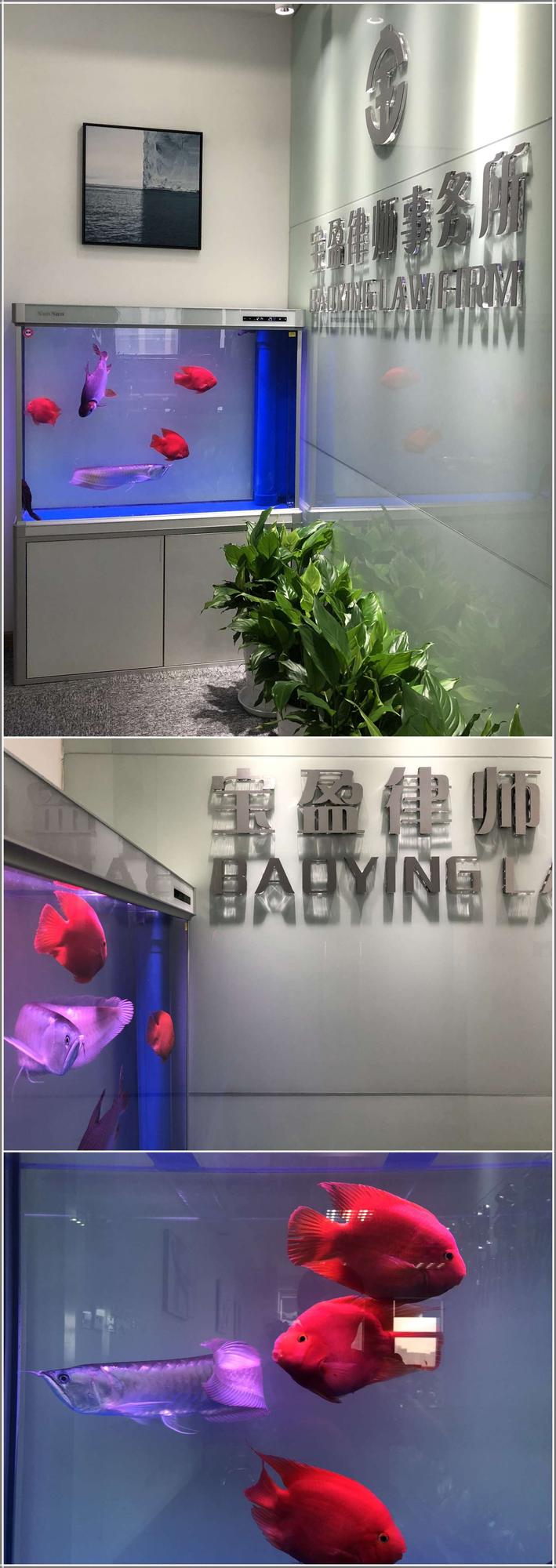 门厅拼图_副本.jpg