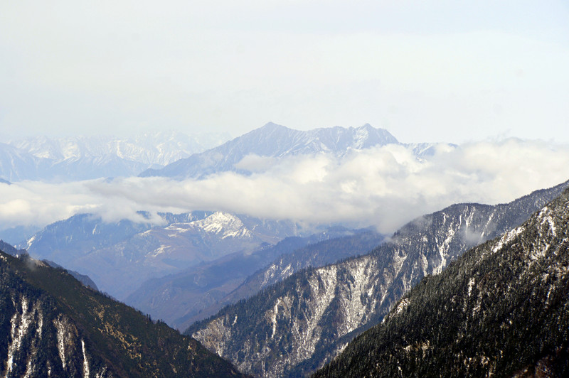 _DSC0018.JPG